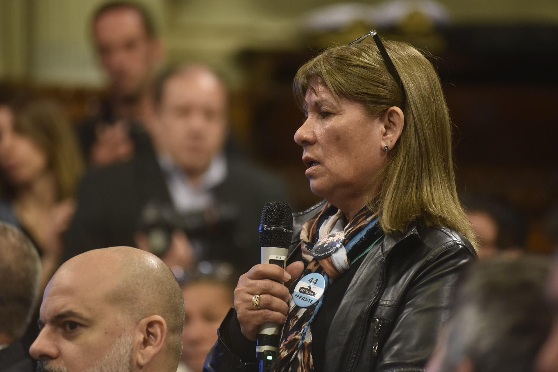 Galeria de imagenes de la noticia TRAS EL HALLAZGO DEL ARA SAN JUAN, AGUAD EXPUSO ANTE LA BICAMERAL INVESTIGADORA